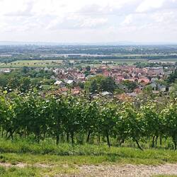 Borough of Großsachsen