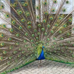 Begrüßung im Schlosspark Eggenberg