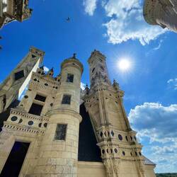 In der Mitte fliegt eine Schwalbe durchs Bild 😅