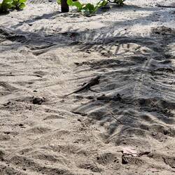 Ein neugieriger hat sich direkt an uns vorbeigetraut und Hallo gesagt