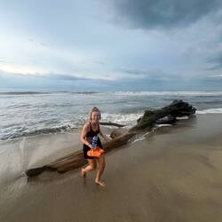 Kleiner Baumstamm beim täglichen Strandspaziergang