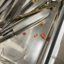 nöd emal 30 Min hät sie brucht und de Zah isch dusse gsi...