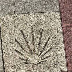 Shell in Leon