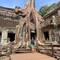 They decided to let this temple stay overgrown, to show what it was like when discovered