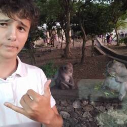 Vini, Camavinga und I