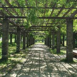 Im nächsten Park Maizuru.