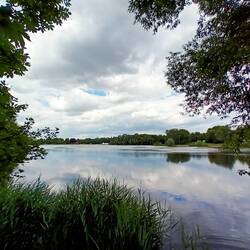 Hohnensee
