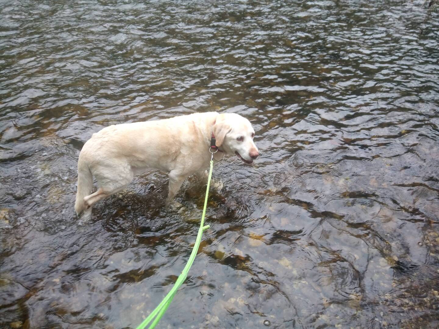 Einmal mit den Füßen ins Wasser ist ein muss