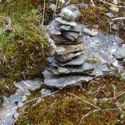 Birgit der Baumeister