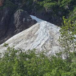 Remains of a snow avalanche