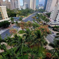 Eine kleine grüne Oase direkt vor meiner Nase