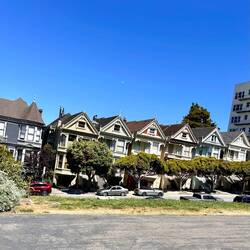 the painted ladies were a chance find