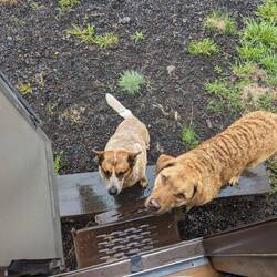 Handy und Butch 🥹