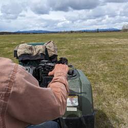Ausflug auf die Weide von Wayne