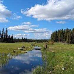 Grundstück von Cody