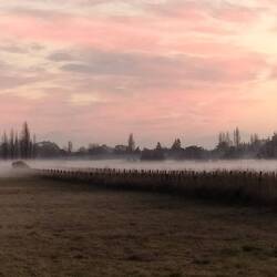 Ground fog and sunset!