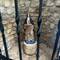 Shrine to St Bridget