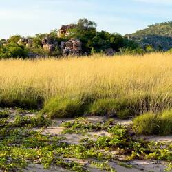 Raft Point Beach ... Doubtful Bay — Kimberley, WA.