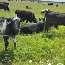 Wir waren eine Attraktion