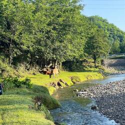 Heading off from our tranquil (froggy) campsite
