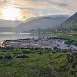 Toller Platz, aber viele Schafe, hier am Strand. Findet Gustav so semi gut,😬