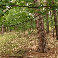 Will ich mich wirklich setzen?