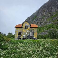 Street Art by Pøbel