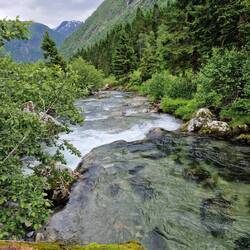 Und nun etwas für die Botaniker
