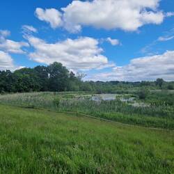 Stourvale Nature Reserve