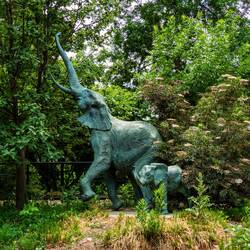 "Family" ... Denver Zoo — Denver, CO.