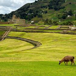 Terassen, auf denen Güter angebaut wurden