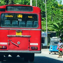 Die guten altem Leyland Busse