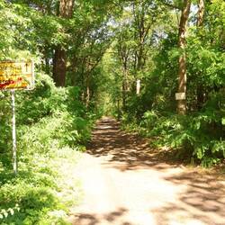 Offizielle Verbindungs"straße"