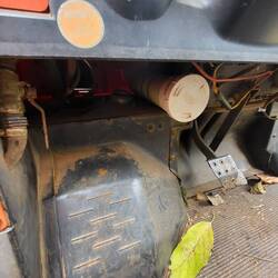 Hier saß die Python!