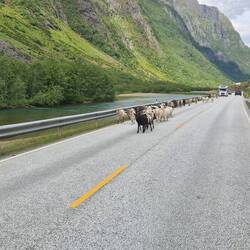 UPS was kommt den da