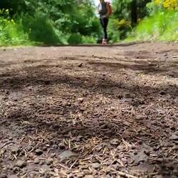 Chemin de Saint-jacques : le film est en préparation ;)
