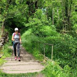 Descente dans les gorges de l'Allier