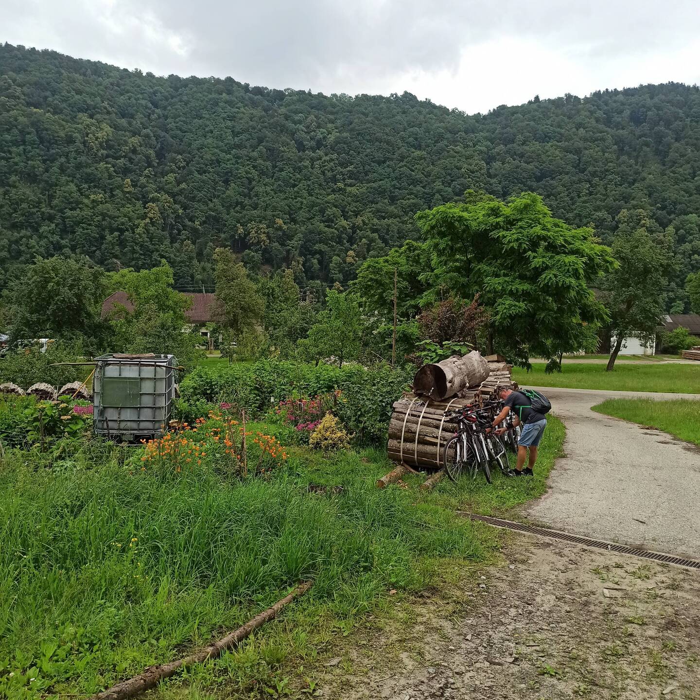 Fahrräder anschließen, dann geht's rauf zur Burgruine