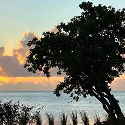 mit Wulche gsehts sogar na interessanter us