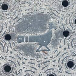 Keine Drachenstadt, Taube? Vielleicht?