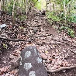 der Aufstieg zum Mt. Peggy