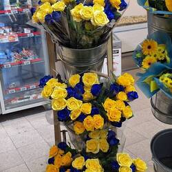 Blumen in Landesfarben - der Supermarktverkaufsschlager :D