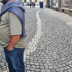 Golden bricks to commemorate the blood of those using this alleyway to avoid saluting the nazi flag