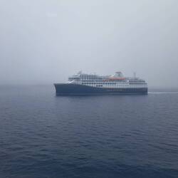 Begegnung mit den Hurtigruten Richtung Süden