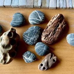 Beach treasure collection