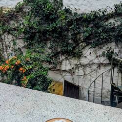 Schwer vorstellbar, aber auch dieses Seepferdchen ist nicht von uns