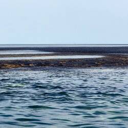 Montgomery Reef appears as the tide ebbs — Kimberley, WA.
