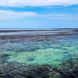Montgomery Reef appears as the tide ebbs — Kimberley, WA.
