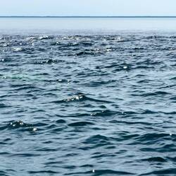 Montgomery Reef is submerged at high tide — Kimberley, WA.