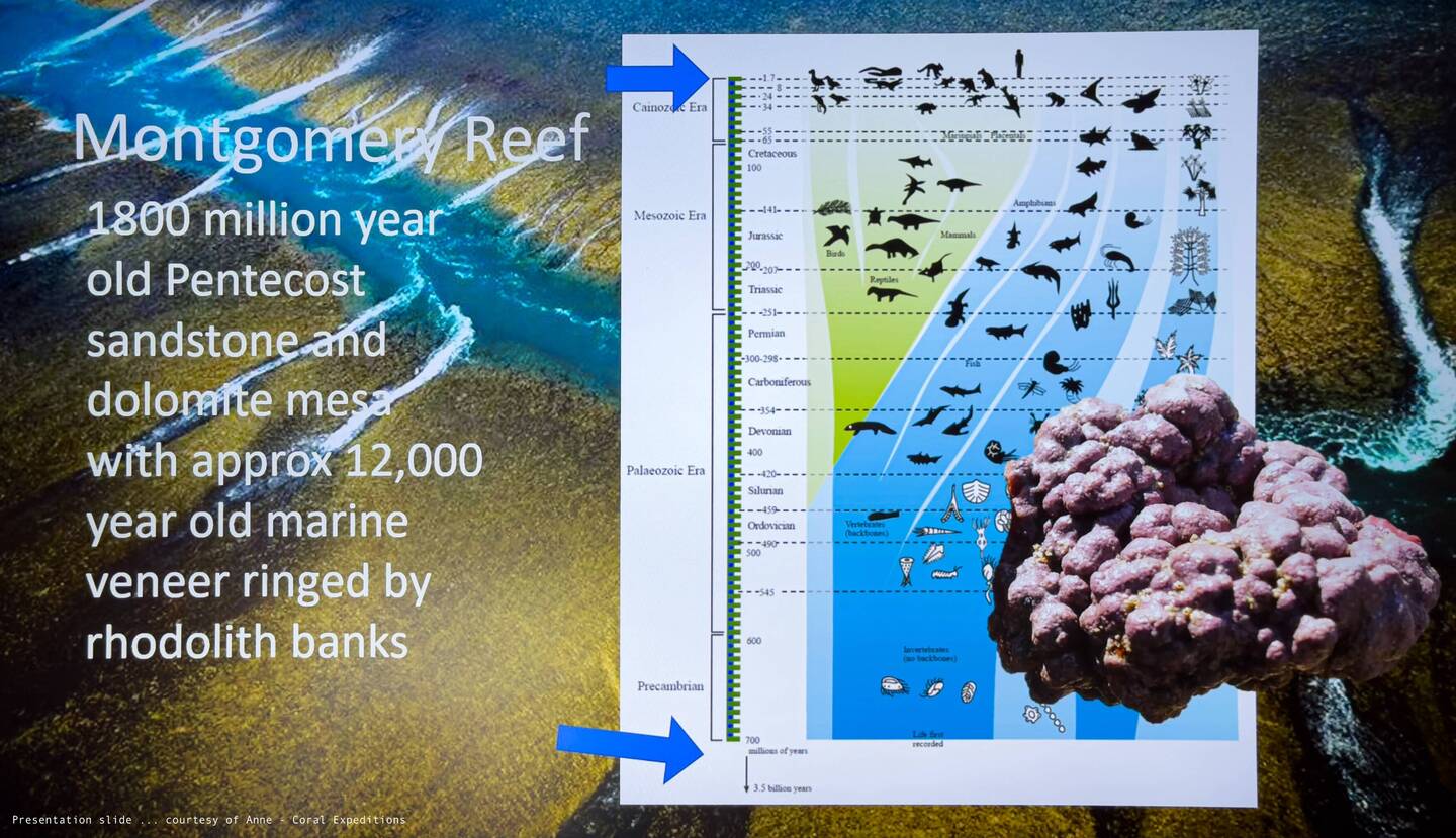 Montgomery Reef is a natural wonder — Kimberley, WA.